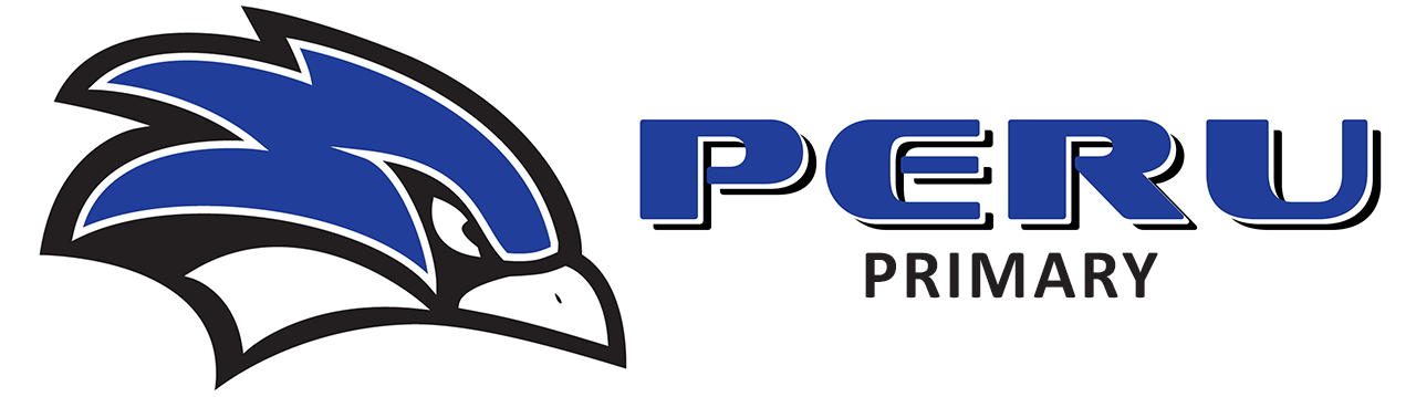 Banner for the PERU Primary School