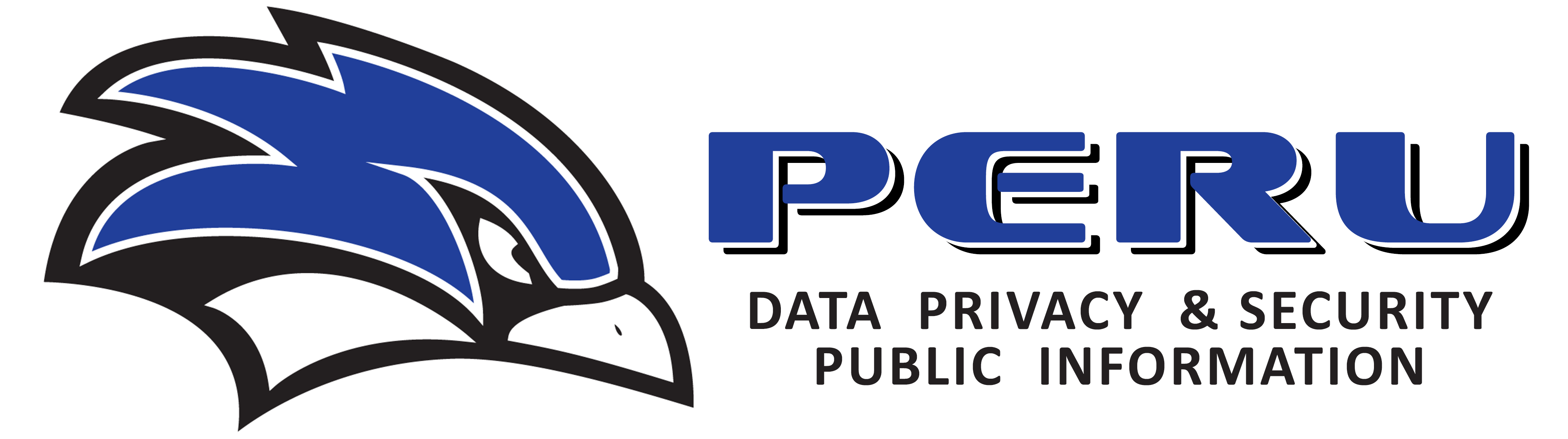 Banner for Data Privacy and Security Public Information 
