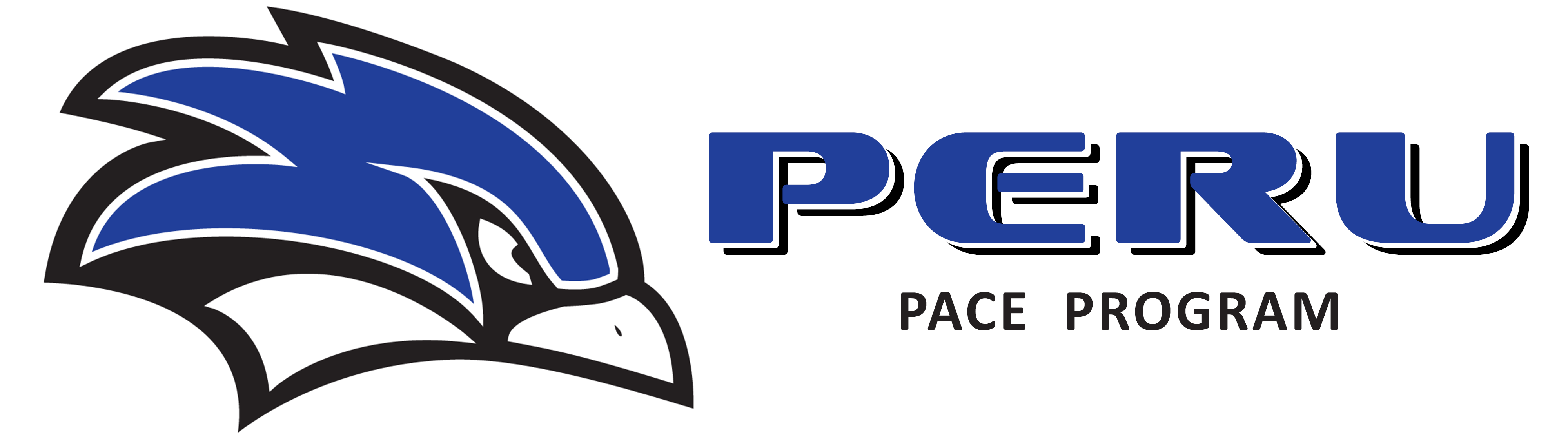 Banner for the PACE Program